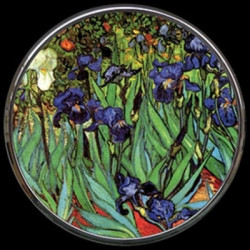 Miroir van gogh "irises" s Parastone -M09GO