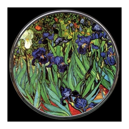 Miroir van gogh "irises" s Parastone -M09GO