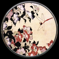 Miroir hokusai "bellfl./dragonfly"s Parastone -M19HO