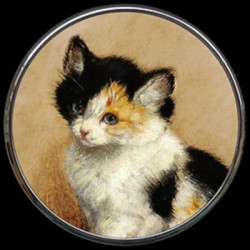 Miroir ronner knip "kitten" s Parastone -M17RK
