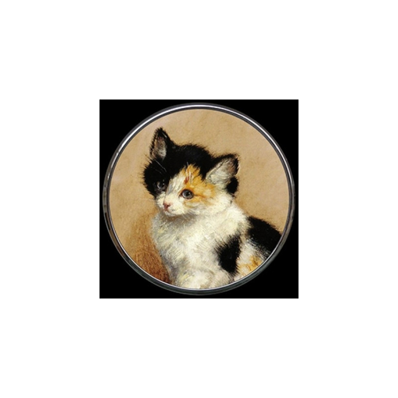 Miroir ronner knip "kitten" s Parastone -M17RK