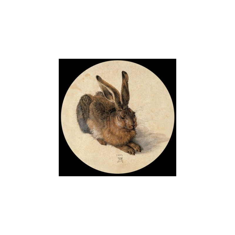 Presse Papier duerer hase Parastone -PDUR1