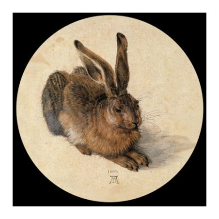 Presse Papier duerer hase Parastone -PDUR1