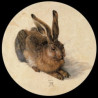 Presse Papier duerer hase Parastone -PDUR1