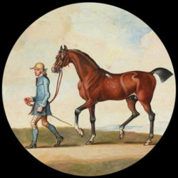 Presse Papier seymour horse Parastone -PSEY1