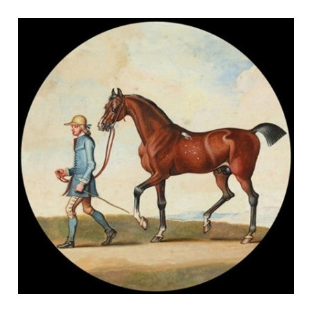 Presse Papier seymour horse Parastone -PSEY1