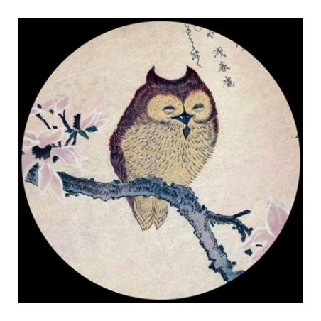 Presse Papier japanese owl Parastone -PJAP1
